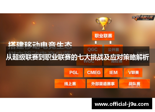 从超级联赛到职业联赛的七大挑战及应对策略解析