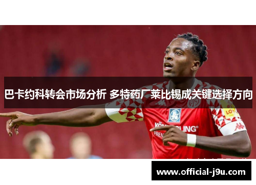 巴卡约科转会市场分析 多特药厂莱比锡成关键选择方向