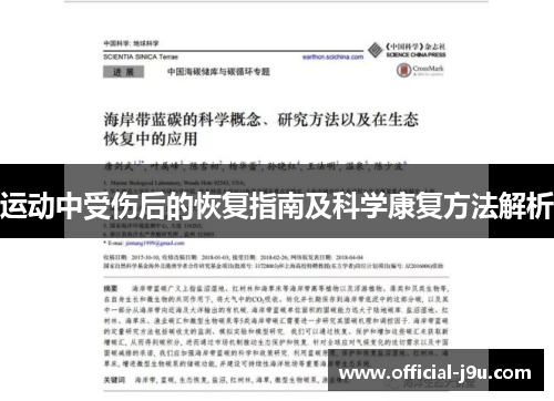 运动中受伤后的恢复指南及科学康复方法解析